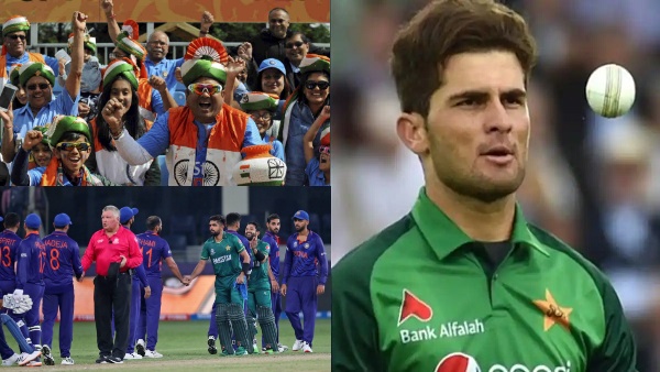 Shaheen Afridi Shaheen Afridi