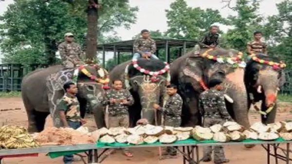 world elephan day-2 world elephan day-2