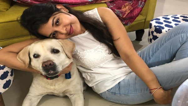 19वें ओवर में भुवी लगातार रहे हैं असफल