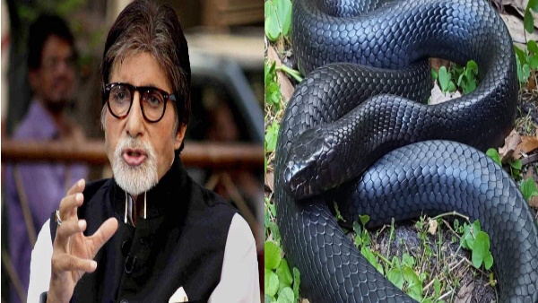 अमिताभ बच्चन ने कहा मैं लगभग मर चुका था