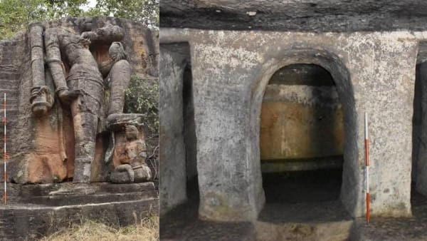 बाधवगढ़ का टाइगर रिजर्व 1100 एसक्यू मीटर एरिया में फैला