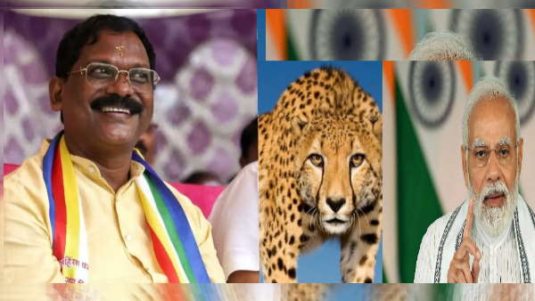 Project Cheetah:छत्तीसगढ़ के मंत्री अमरजीत बोले, PM मोदी को जीव -जंतुओं