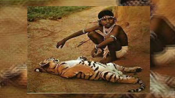 टोकरी में घर आया था टाइगर दोस्त