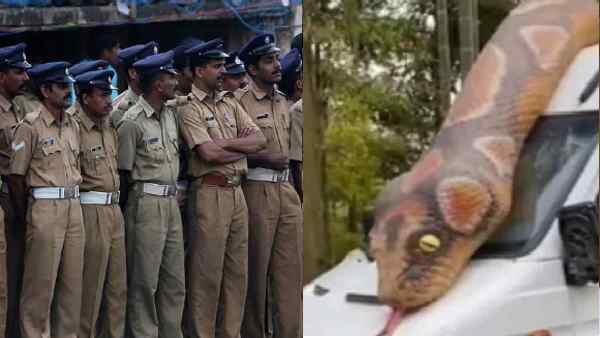 अब बंदरों के आतंक से सुरक्षित है थाना