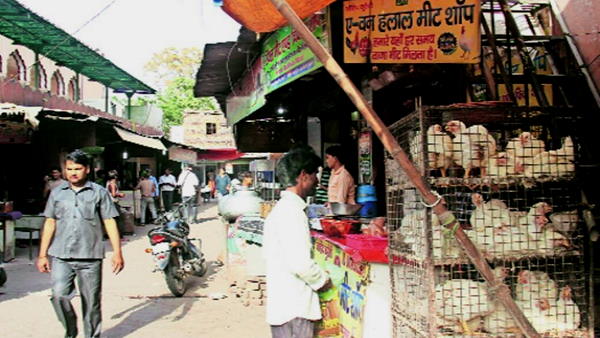 closing the slaughterhouse: Gujarat High Courts justice said- What will happen if you stop yourself from eating meat for some days? closing the slaughterhouse: Gujarat High Courts justice said- What will happen if you stop yourself from eating meat for some days?