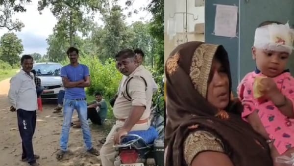 पहले से मौजूद बाघ ने कर दिया था हमला