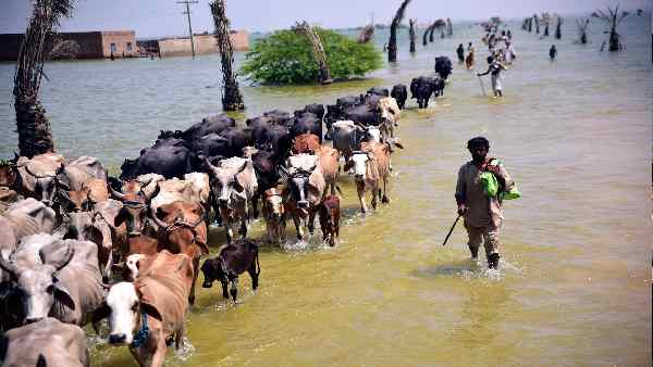 बाबा माधोदास मंदिर बना बाढ़-पीड़ितों का शरण स्थल