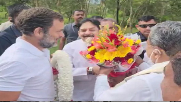 rahul rahul