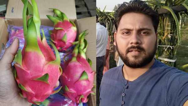 फलों की खेती का फैसला