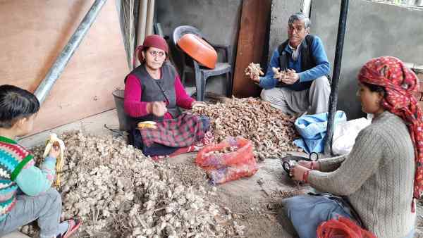 एक ही खेत में नौ किस्म के बीज