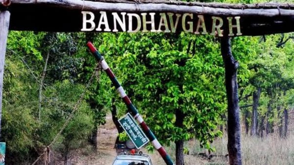 कर्मचारियों को वितरण किए गए सुरक्षा किट