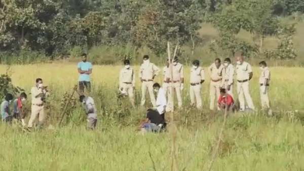 हाथियों के उत्पात से घिर गए थे डेढ़ दर्जन परिवार