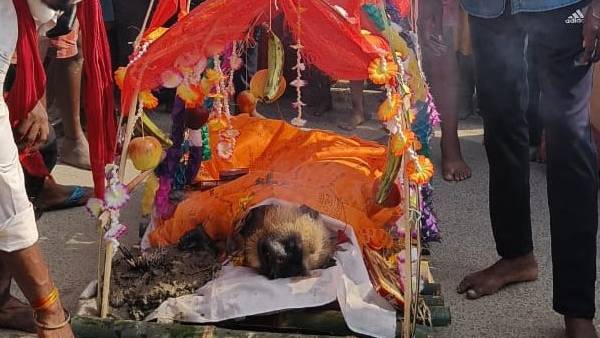 धूम धाम से निकाली गई बंदर की शव यात्रा