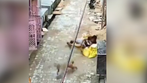 बंदर का 'जॉन सीना' स्टाइल में चोक स्लैम