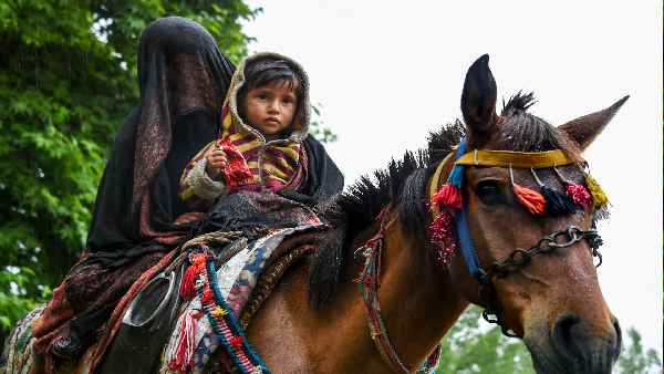 गुज्जर नेता को राज्यसभा में दी है जगह