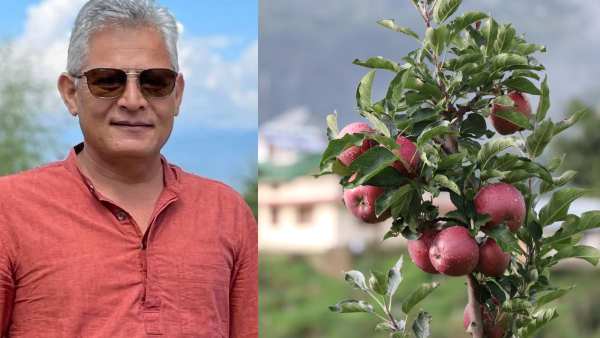 आधुनिक सेब की बागवानी के जनक