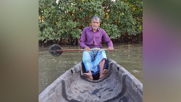 97% मैंग्रोव के जंगल खत्म