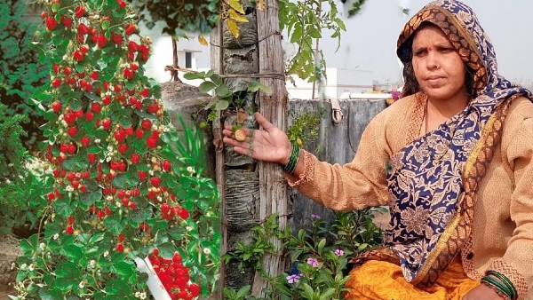 सुनीता प्रसाद को मिले कई अवार्ड्स