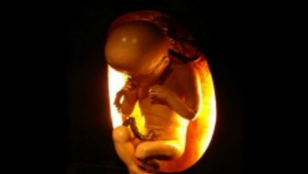 Baby Born 30 year Old: सबसे बुजुर्ग नवजात, जानें कैसे हुआ ये अजूबा
