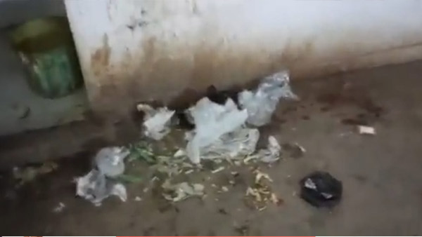 यूजर कर रहे तरह-तरह के कमेंट
