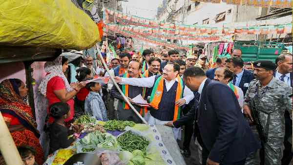 भाजपा को लोकसभा और एमसीडी चुनावों में मिला है साथ