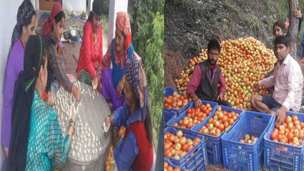 स्थानीय लोगों को स्वरोजगार में भी सहयोग मिल रहा