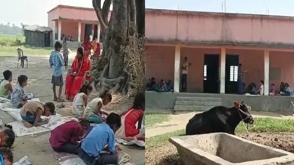स्कूल की बदहाल शिक्षा व्यवस्था