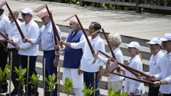 मैंग्रोव पौधारोपण में शामिल हुए कई नेता