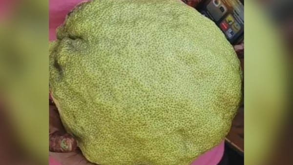 कोई फोटो खींच रहा तो कोई बना रहा वीडियो