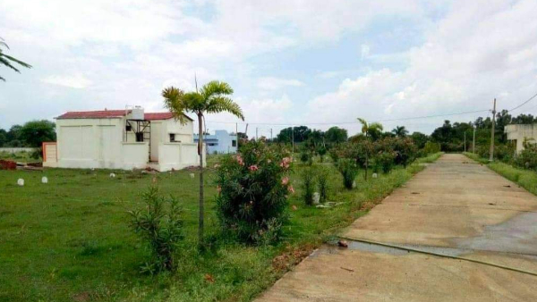 कलेक्टर गाइडलाइन 2023 की दरें तय करने की प्रक्रिया अगले माह