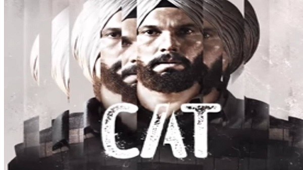 कैट