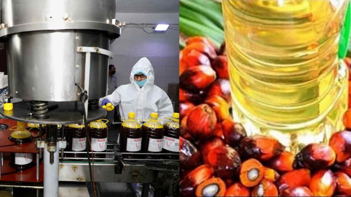 Edible Oil पर आत्मनिर्भर कैसे बनेगा भारत ? तिलहन उत्पादन बढ़ाने के उपाय जानिए Edible Oil