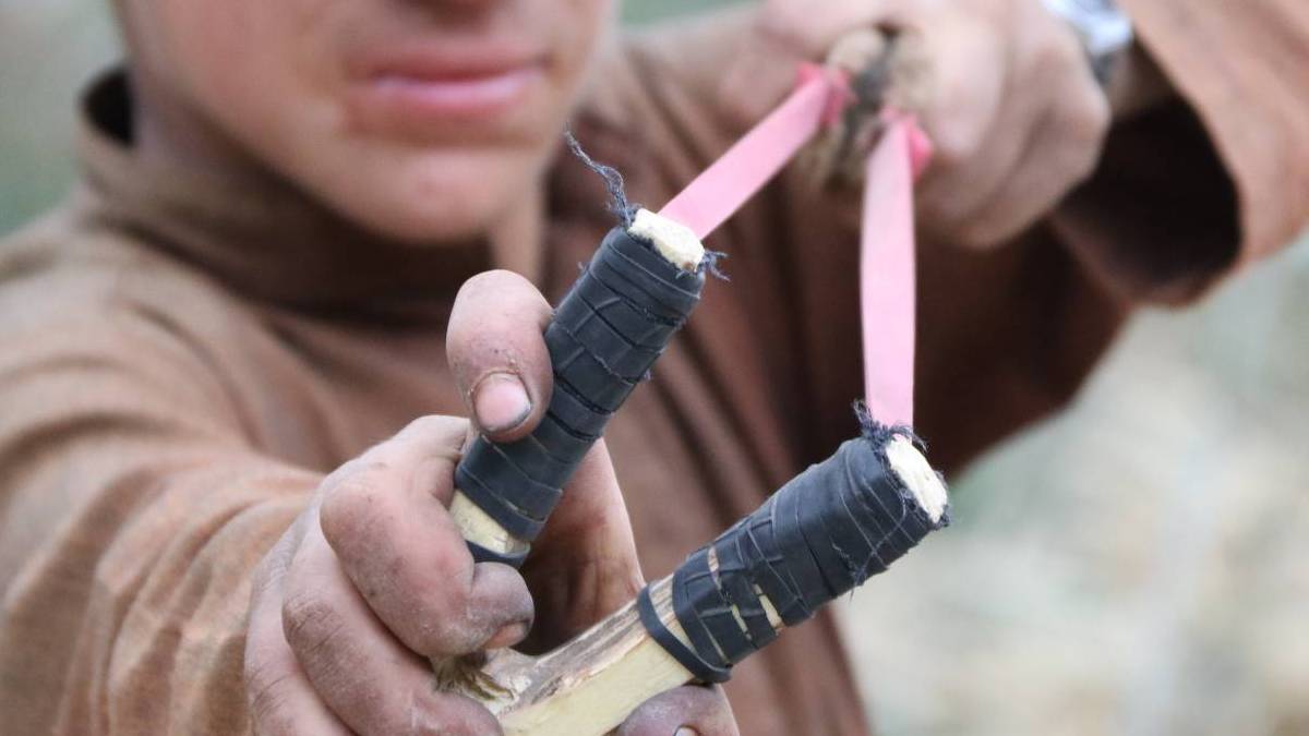 घर के पीछे खेल रही छोटी बहन को किडनैपर ने पकड़ा, 13 साल के भाई ने गुलेल