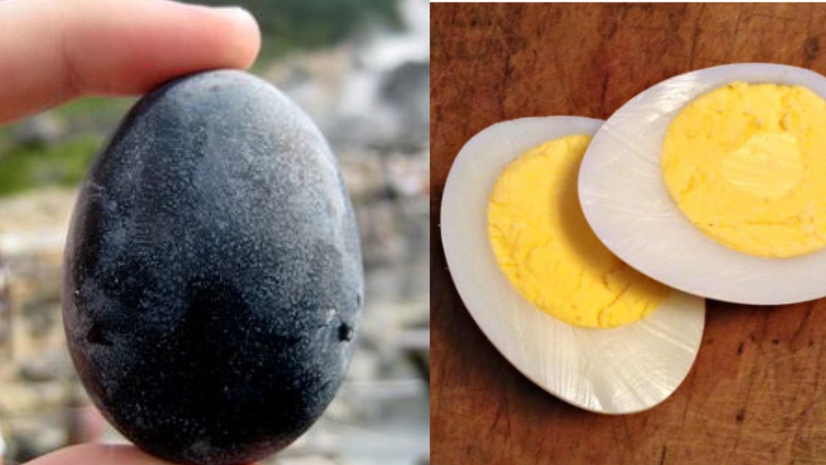एक महीने के राशन जितनी है इन अंडों की कीमत, काले अंडे की खासियत जानकर