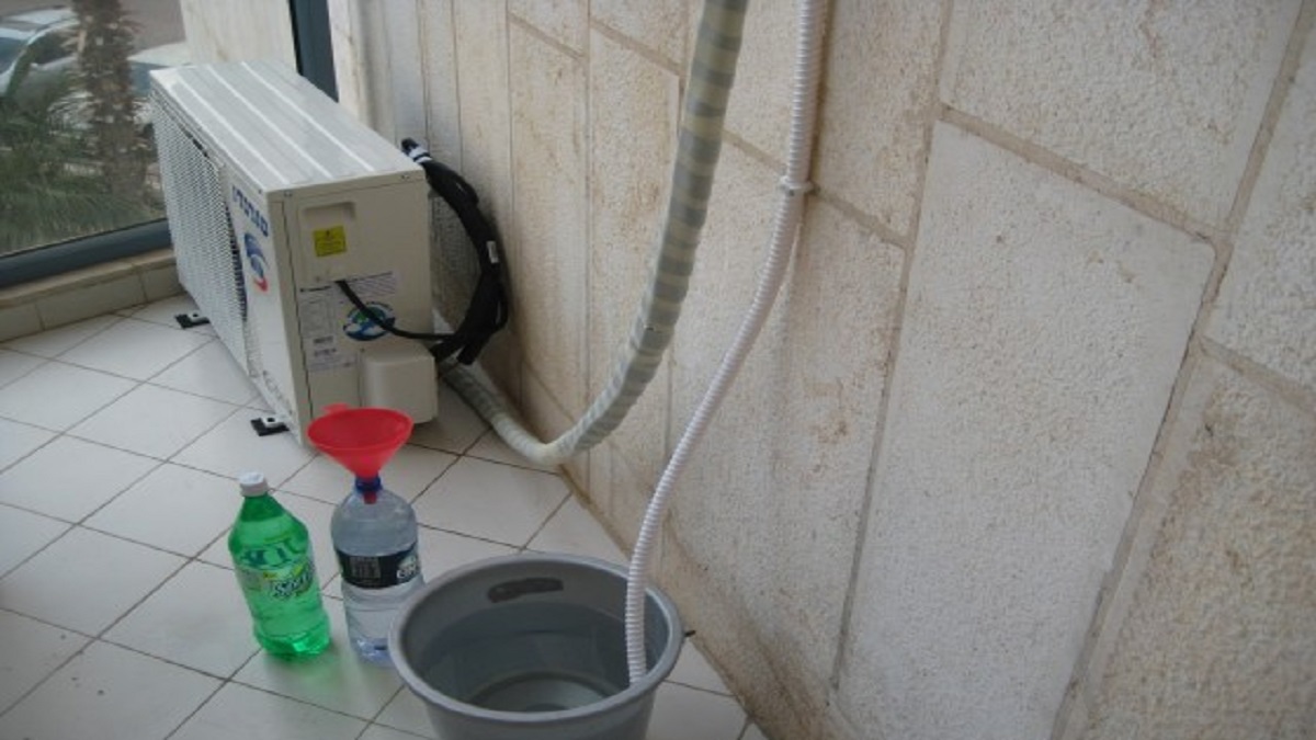 पौधों में अगर AC का पानी डालें तो क्या होगा? हरेभरे होंगे या फिर सूख