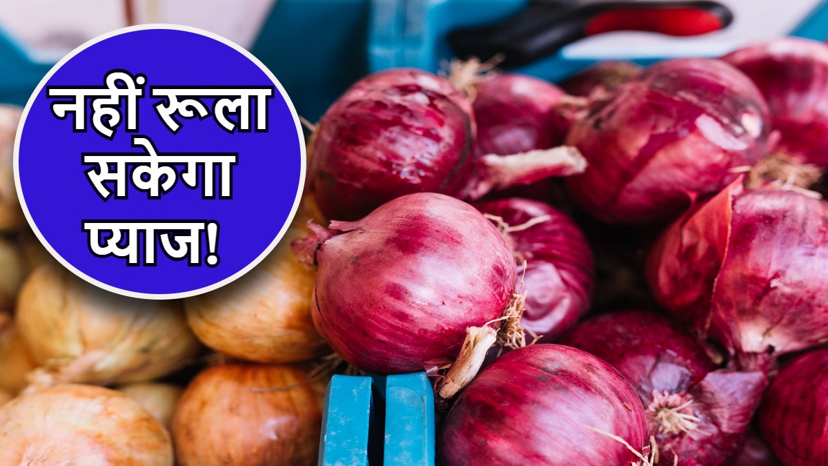 Onion Price टमाटर की तरह बेलगाम नहीं होंगी प्याज की कीमतें, मोदी सरकार
