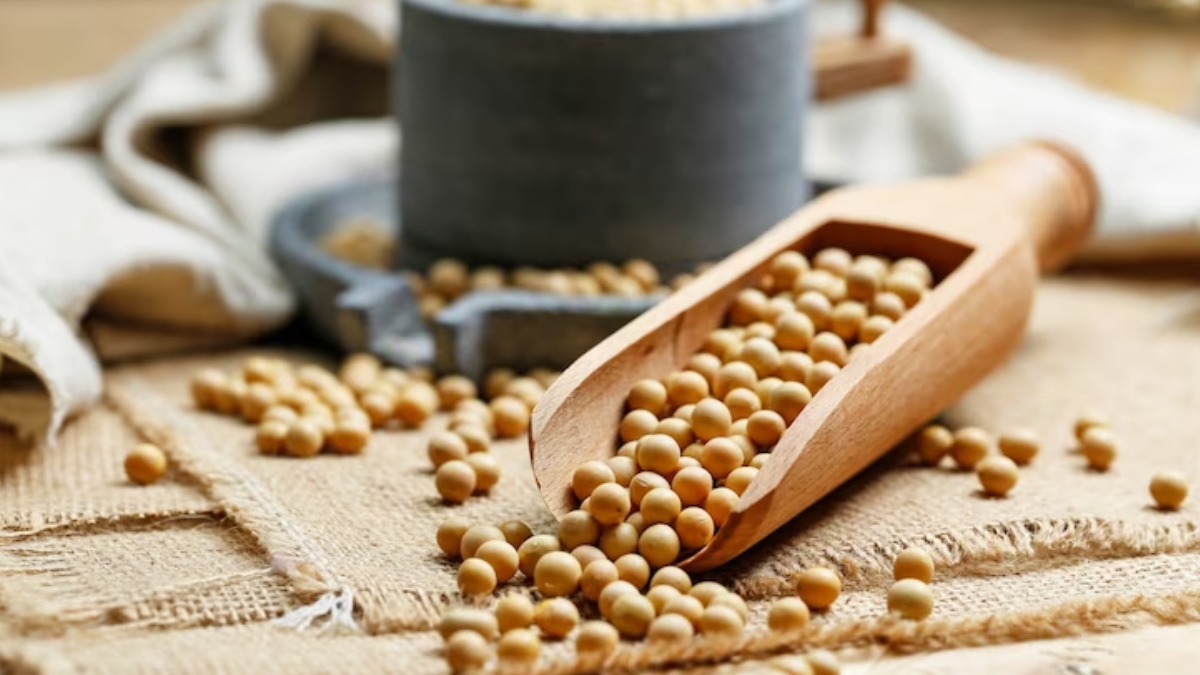 Soybean सोयाबीन की खेती प्रोटीन से भरपूर व किसानों के लिए लाभकारी