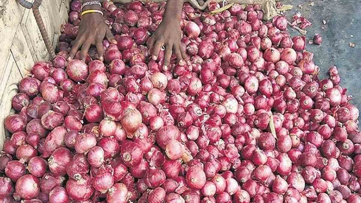 Onion Price आंसू ला रहा प्याज, 57 प्रतिशत बढ़ी कीमतें, अब केंद्र ने उठाया बड़ा कदम Onion