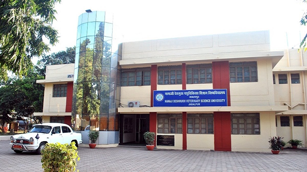 Jabalpur News नीट में सक्सेस स्टूडेंट्स के लिए खुशखबरी, वेटरनरी UG