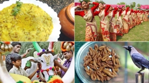 Sankranti in different States: अपनी विविधता के कारण कैसे भारत का राष्ट्रीय त्यौहार बन जाता है मकर संक्रांति?