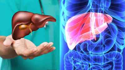 know important things about Liver Transplant organ policy will be helpful know important things about Liver Transplant organ policy will be helpful
