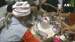 News, Latest News, Today's News Headlines, Breaking News 