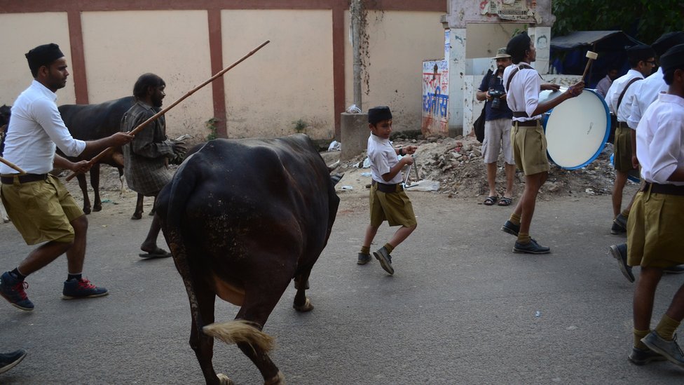 गोरक्षा और गाय गोरक्षा और गाय