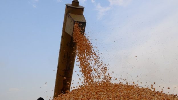 पाकिस्तानी किसान पाकिस्तानी किसान