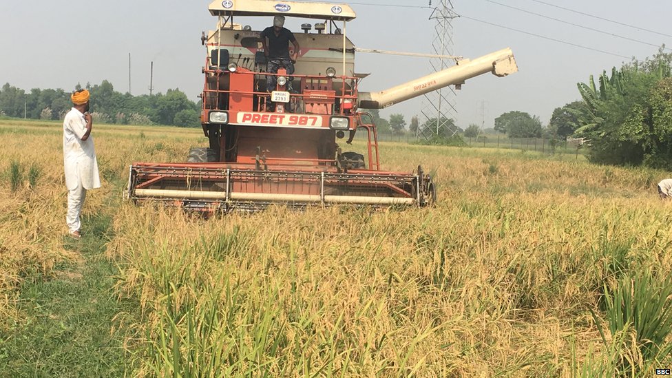 पंजाब, किसानों की आत्महत्या, किसान आत्महत्या, किसान, आत्महत्या पंजाब, किसानों की आत्महत्या, किसान आत्महत्या, किसान, आत्महत्या
