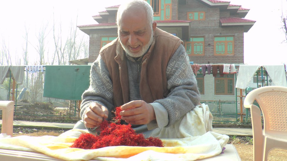 केसर केसर