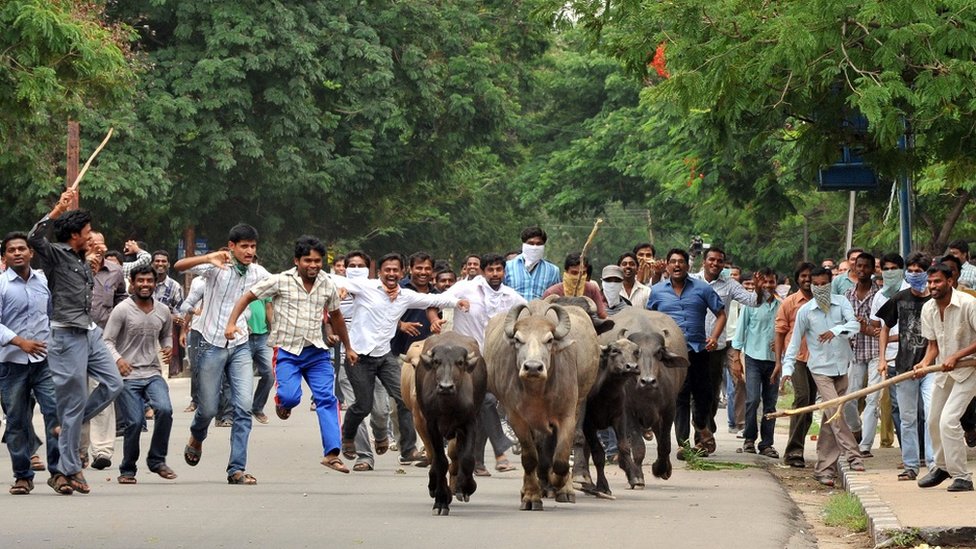 यूनिवर्सिटी, छात्र राजनीति, सांकेतिक तस्वीर यूनिवर्सिटी, छात्र राजनीति, सांकेतिक तस्वीर