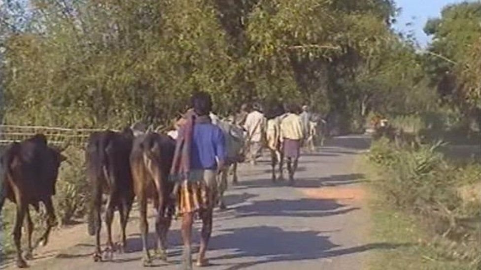 बांग्लादेश, भारत, बीएसएफ बांग्लादेश, भारत, बीएसएफ