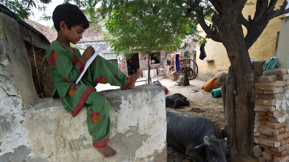 सांकेतिक तस्वीरें सांकेतिक तस्वीरें