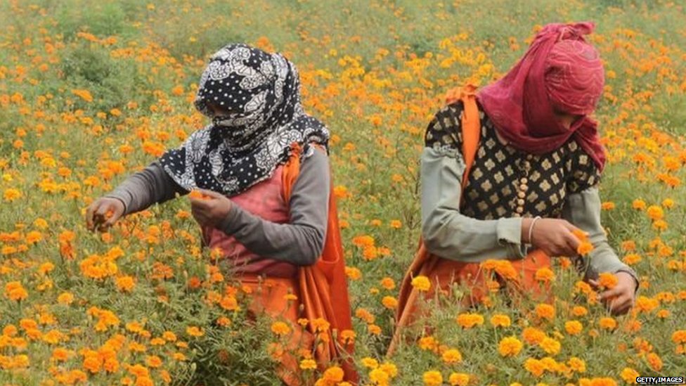 आइलेट्स आइलेट्स
